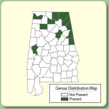 Genus Distribution Map