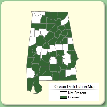 Genus Distribution Map