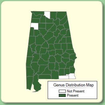 Genus Distribution Map