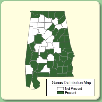 Genus Distribution Map