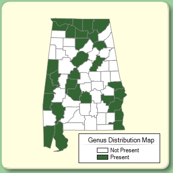 Genus Distribution Map