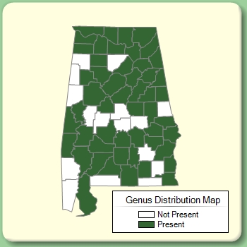 Genus Distribution Map