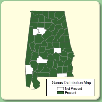 Genus Distribution Map