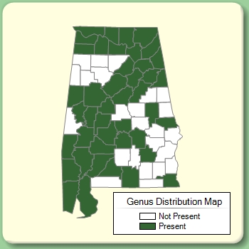 Genus Distribution Map