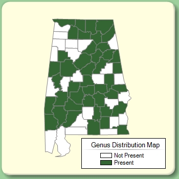 Genus Distribution Map