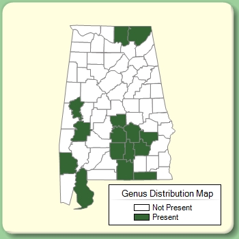 Genus Distribution Map