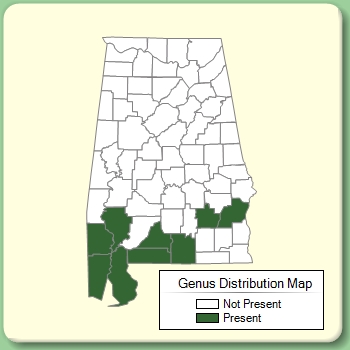 Genus Distribution Map