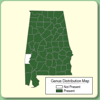 Genus Distribution Map