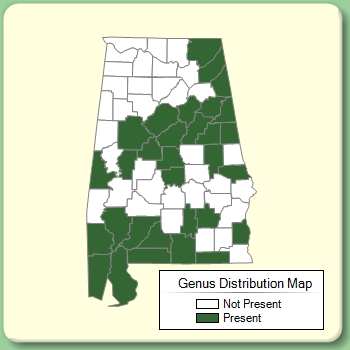 Genus Distribution Map