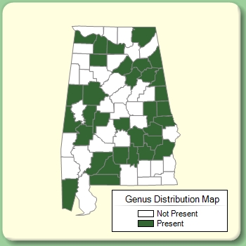 Genus Distribution Map