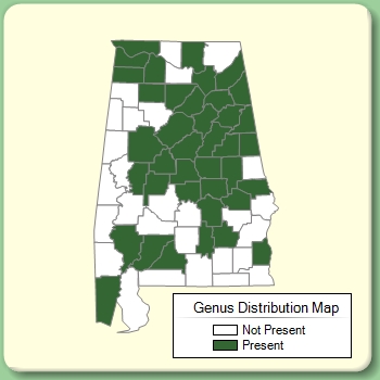 Genus Distribution Map