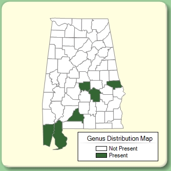 Genus Distribution Map