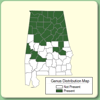 Genus Distribution Map