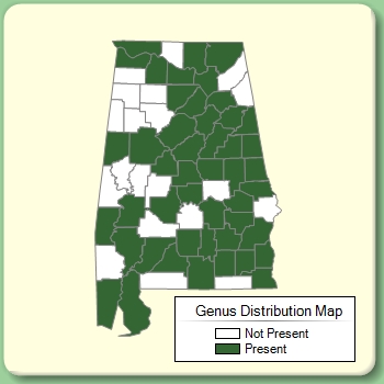Genus Distribution Map