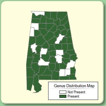 Genus Distribution Map