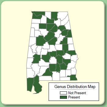 Genus Distribution Map