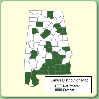 Genus Distribution Map