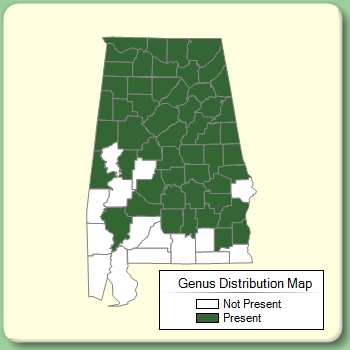 Genus Distribution Map