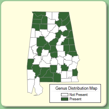 Genus Distribution Map