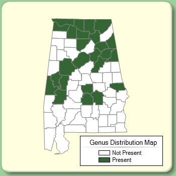 Genus Distribution Map