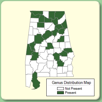 Genus Distribution Map