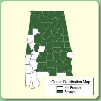 Genus Distribution Map