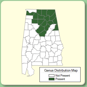 Genus Distribution Map