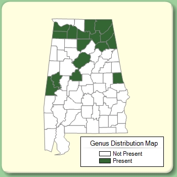 Genus Distribution Map