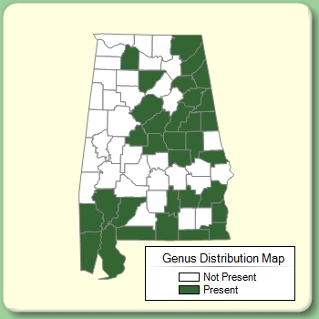 Genus Distribution Map