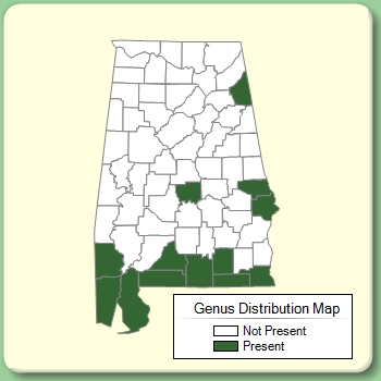 Genus Distribution Map