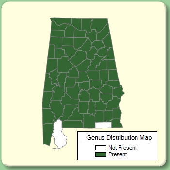 Genus Distribution Map