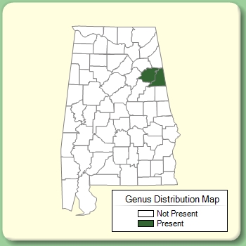 Genus Distribution Map