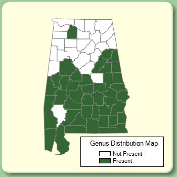 Genus Distribution Map