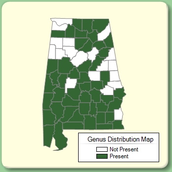 Genus Distribution Map