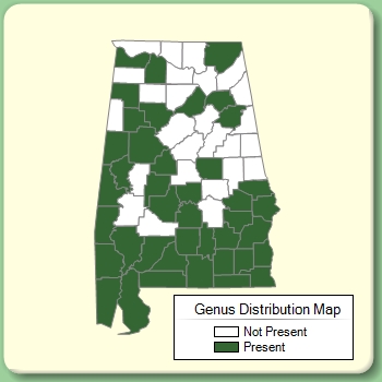 Genus Distribution Map