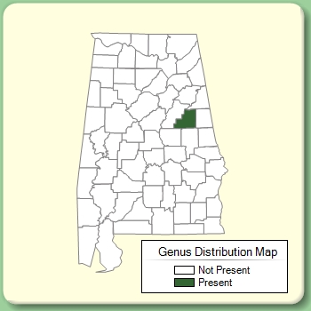 Genus Distribution Map