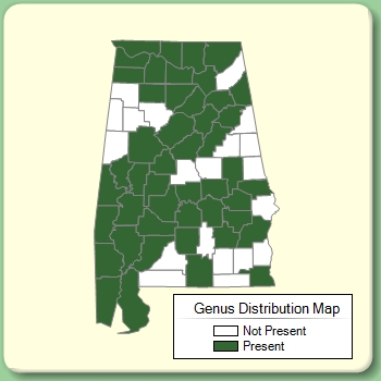 Genus Distribution Map