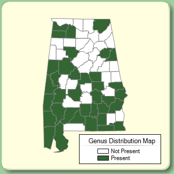 Genus Distribution Map