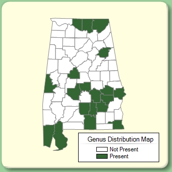 Genus Distribution Map