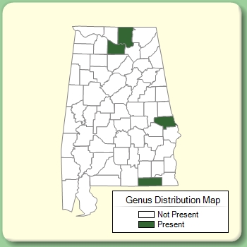 Genus Distribution Map