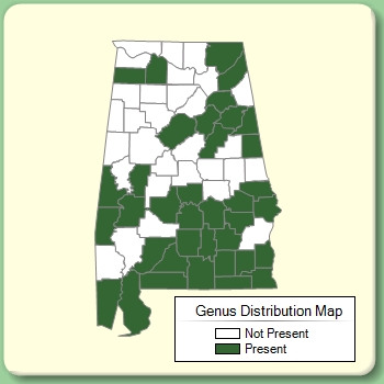 Genus Distribution Map