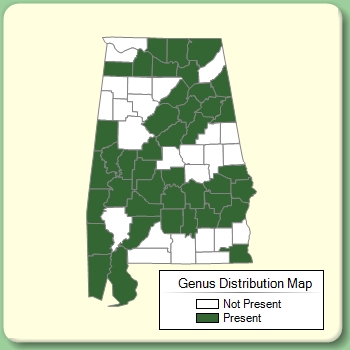Genus Distribution Map