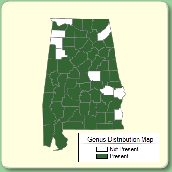 Genus Distribution Map