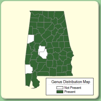 Genus Distribution Map