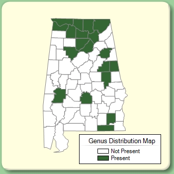 Genus Distribution Map