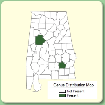 Genus Distribution Map