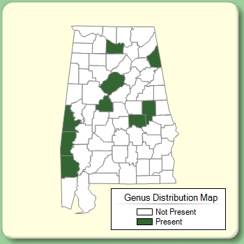 Genus Distribution Map