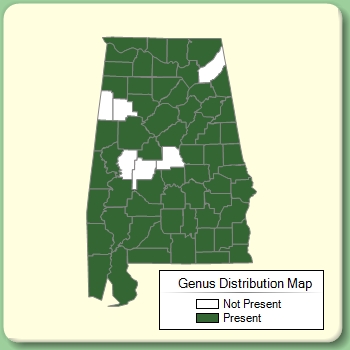 Genus Distribution Map