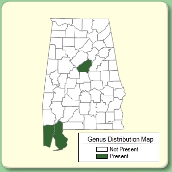 Genus Distribution Map