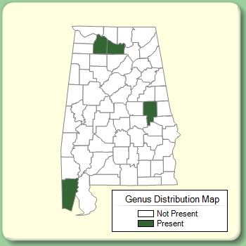 Genus Distribution Map